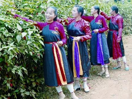 Giữ gìn điệu hát Sình ca của dân tộc Cao Lan